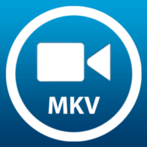 android mkv player